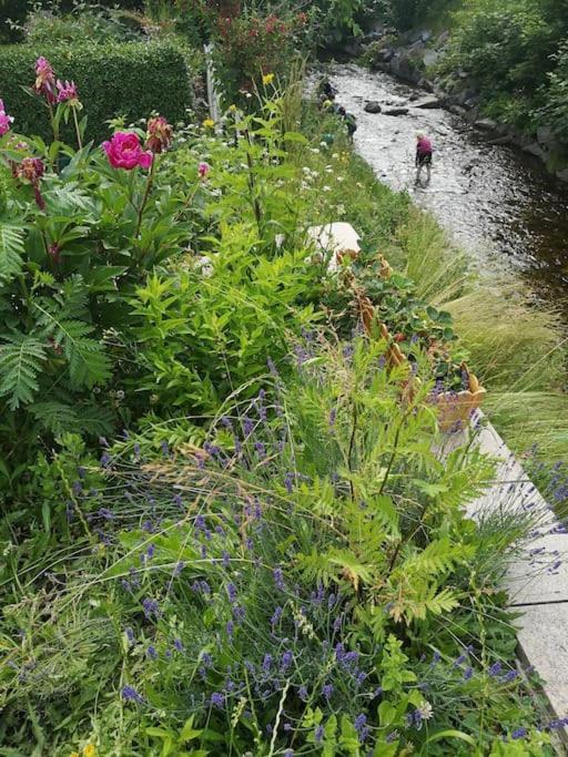 Guenstige, Schoene Ferienwohnung Im Wanderparadies Wernigerode Dış mekan fotoğraf